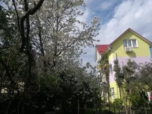 Відпочинок в Адлері 2017 - приватний сектор і готелі без посередників (приватний сектор) Відпочинок в Адлері 2017 - приватний сектор і готелі без посередників