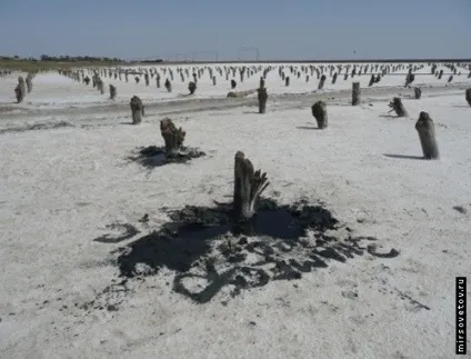 Відпочинок на озері баскунча