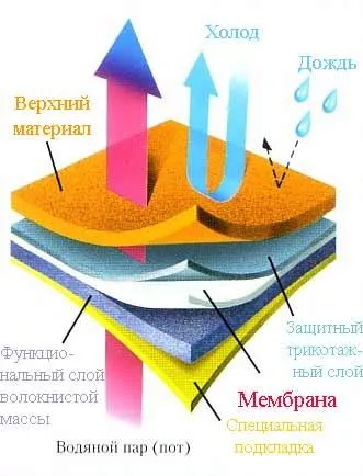Що таке мембрана (дитячі речі) Що таке мембрана