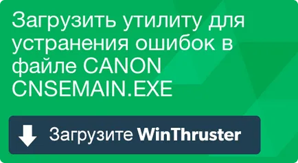 Какво е канона и как да се определи, че съдържа вирус или сигурност