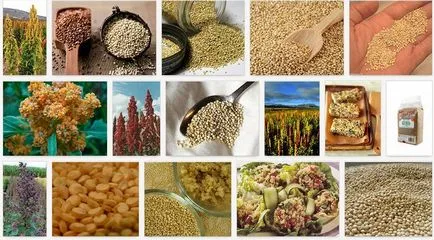Ce este quinoa