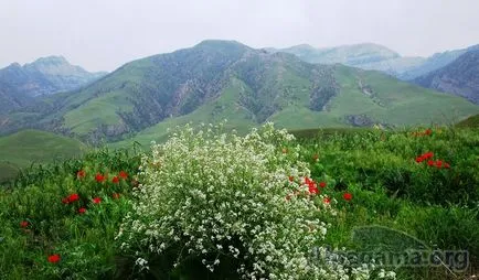 Melyek a hegyek és mik azok (emlékeztetőül, hogy továbbra is)