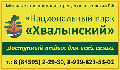 Същността на информационно-развлекателен сайт на град Балаково, по-високи заплати, прехвърлени към медицинската