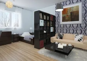 Proiectarea unui apartament de 50 de metri pătrați de clearance-ul și reparații (44 poze)