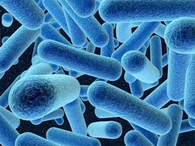 Ефективното лечение на Pseudomonas Aeruginosa народни средства