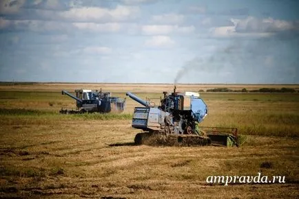 Ако соя във вода за земеделските производители, казаха как да се спаси реколтата от подгизнал