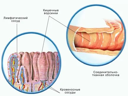 Enterosgel на децата за четене, инструкции за употреба и обратна връзка