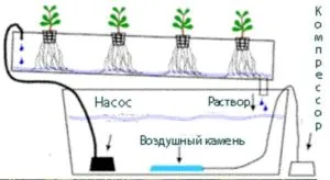 Хидропоника собствените си ръце за краставици и домати