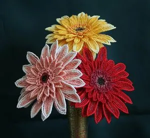 Gerbera gyöngy