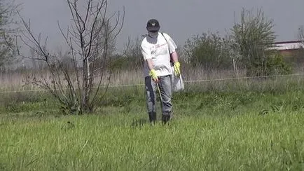 instructiuni Erbicid tornado pentru utilizare împotriva buruienilor