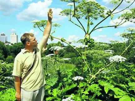 Povestea cum ca păstârnac capturat România