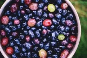 Озонатор повітря шкода чи користь (повітря) Озонатор повітря шкода чи користь