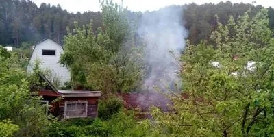 Про вирощування огірків, томатів, перців і баклажанів в теплиці (вирощуванні) Про вирощування огірків, томатів, перців і баклажанів в теплиці
