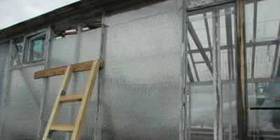 Про вирощування огірків, томатів, перців і баклажанів в теплиці (баклажанів) Про вирощування огірків, томатів, перців і баклажанів в теплиці