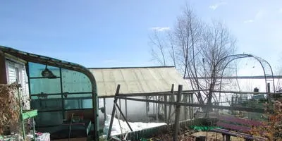 Про вирощування огірків, томатів, перців і баклажанів в теплиці (теплиці) Про вирощування огірків, томатів, перців і баклажанів в теплиці