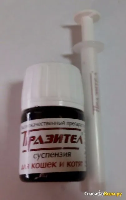 Відгук про препарат проти гельмінтів для кішок і кошенят cуспензія скіфф - празітел паразітел - кішка (препарат) Відгук про препарат проти гельмінтів для кішок і кошенят cуспензія скіфф - празітел паразітел - кішка