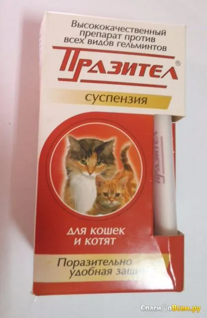 Відгук про препарат проти гельмінтів для кішок і кошенят cуспензія скіфф - празітел паразітел - кішка (кішка) Відгук про препарат проти гельмінтів для кішок і кошенят cуспензія скіфф - празітел паразітел - кішка