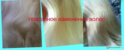 Відгуки про ефірне масло іланг-іланг для волосся в чому його користь (відгуки) Відгуки про ефірне масло іланг-іланг для волосся в чому його користь