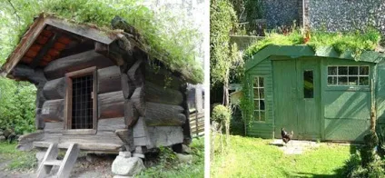 Озеленення даху своїми руками дачний варіант (озеленення даху своїми руками) Озеленення даху своїми руками дачний варіант