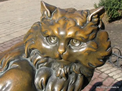 Пам'ятник коту Пантелеймону в киеве - домашній улюбленець (Пантелеймону) Пам'ятник коту Пантелеймону в киеве - домашній улюбленець