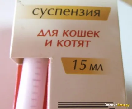Відгук про препарат проти гельмінтів для кішок і кошенят cуспензія скіфф - празітел паразітел - кішка (празітел) Відгук про препарат проти гельмінтів для кішок і кошенят cуспензія скіфф - празітел паразітел - кішка