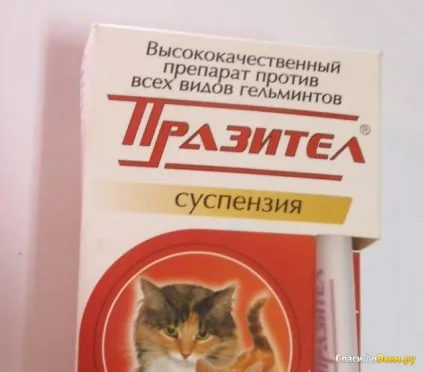 Відгук про препарат проти гельмінтів для кішок і кошенят cуспензія скіфф - празітел паразітел - кішка (кошенят) Відгук про препарат проти гельмінтів для кішок і кошенят cуспензія скіфф - празітел паразітел - кішка