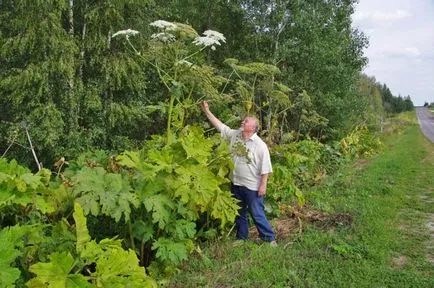 După cum păstârnac a învins România, kykyryzo