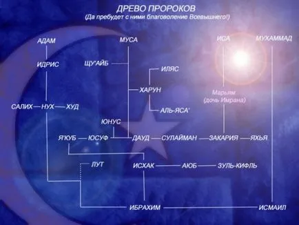 Какво се чуди имахме пророци