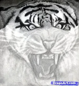 Hogyan kell felhívni a tigris feje szakaszokban