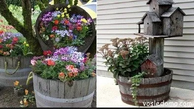 Hogyan gondoskodik a virágágyás egy hagyományos hordó, a ház közelében