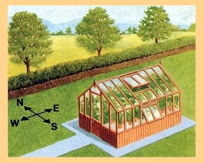 Как да изберете място в оранжерията, Екатеринбург, Челябинск, Перм, Тюмен, Зима 66