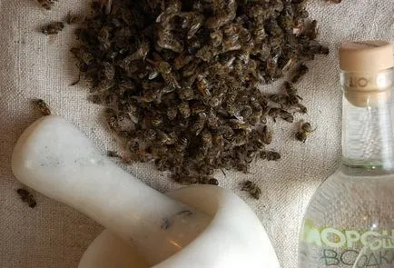 Cum să se pregătească și să aplice tinctura de albine Podmore