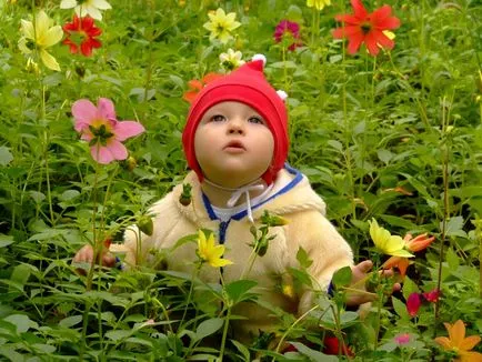 Amint kelbimbó alakulnak szép virágok - egy blog a gyerekek - Fejlesztés - Child Development - blogok