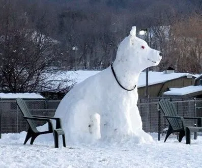 Cum de a sculpta din câine de zăpadă