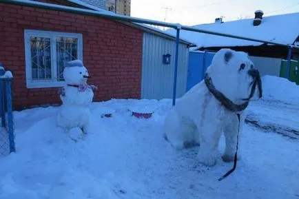 Cum de a sculpta din câine de zăpadă