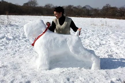 Cum de a sculpta din câine de zăpadă