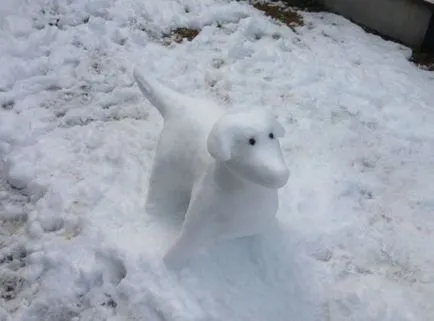 Cum de a sculpta din câine de zăpadă