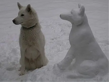 Cum de a sculpta din câine de zăpadă