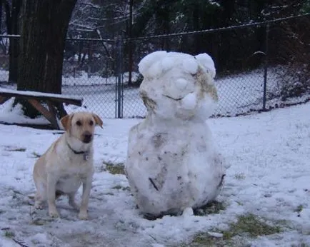 Cum de a sculpta din câine de zăpadă