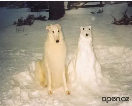 Cum de a sculpta din câine de zăpadă