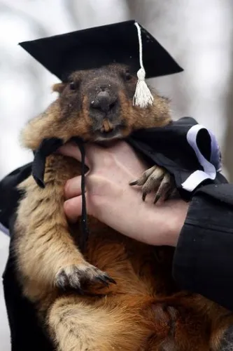 Așa cum a prezis de primăvară groundhog toate Znayka - noi descoperiri si inventii!