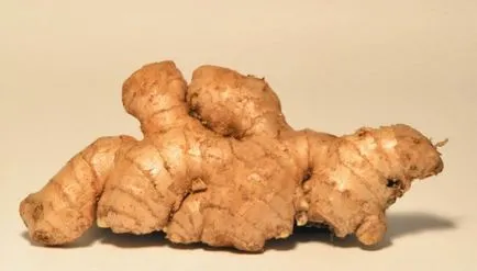 Hogyan kell tartani ginger root - a gyógyszertárakban a gyökér a gyömbért - élelmiszer