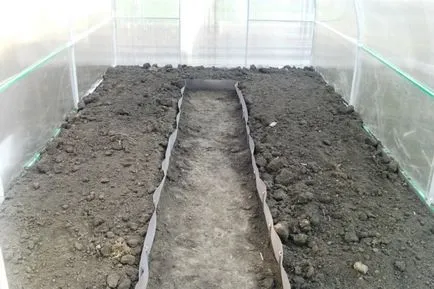 Як доглядати за помідорами і огірками в теплиці