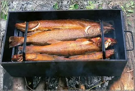 Hogyan válasszuk ki a smokehouse - a vevő utasításai