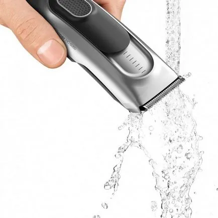 Ce Clipper alege un ghid simplu