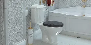 Перенесення унітазу 1