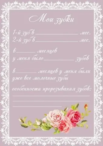 Паспорт новонародженого, або оформлення першого альбому малюка (альбом для дівчаток) Паспорт новонародженого, або оформлення першого альбому малюка