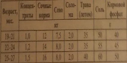 Періоди розвитку телят