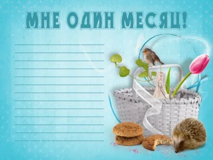 Паспорт новонародженого, або оформлення першого альбому малюка (альбом для хлопчика) Паспорт новонародженого, або оформлення першого альбому малюка