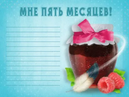 Паспорт новонародженого, або оформлення першого альбому малюка (альбом наш малюк) Паспорт новонародженого, або оформлення першого альбому малюка